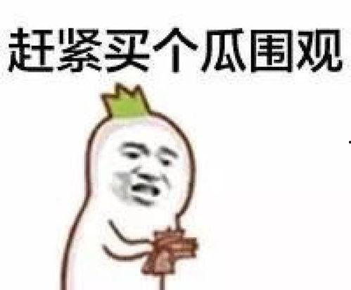吃瓜的表情包 潜规则全书 最新大瓜事件最新消息,潜规则全书揭秘，最新大瓜事件引爆网络